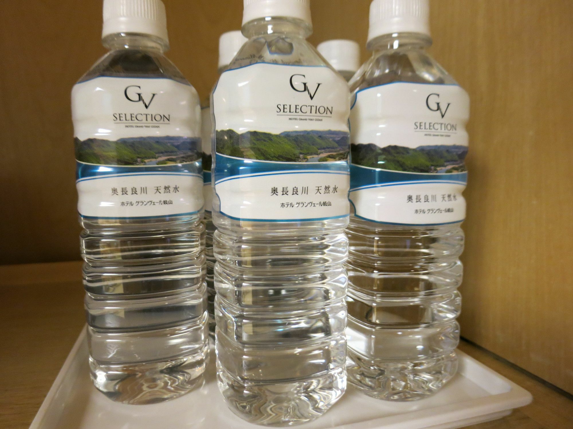 Hotel Grand Vert Gizan Gifu Luaran gambar